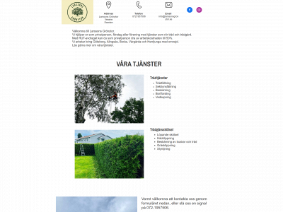 larssonsgronytor.se snapshot
