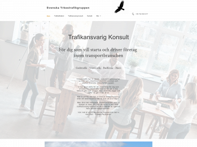trafikansvarig-konsult.se snapshot