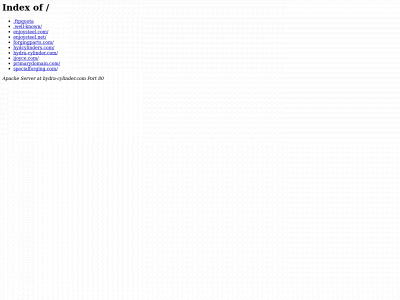 hydra-cylinder.com snapshot
