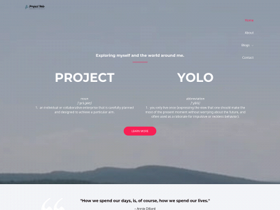 projectyolo.net snapshot