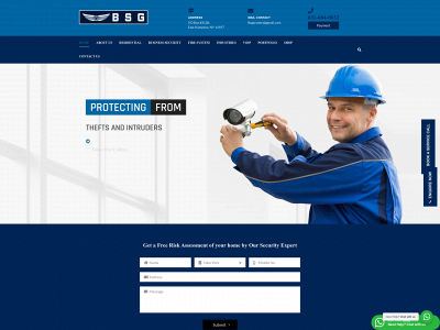 bsgprotect.com snapshot