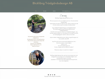 blickfang.nu snapshot
