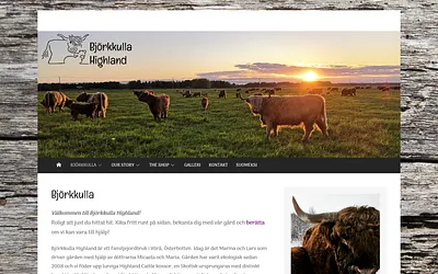 bjorkkullahighland.fi snapshot