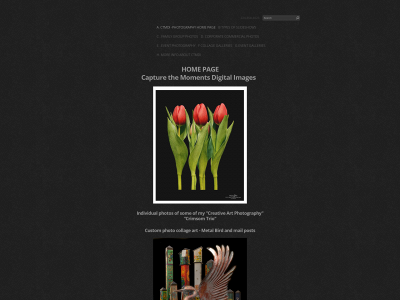 ctmdi.net snapshot