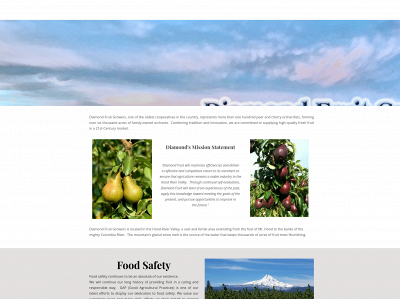 diamondfruit.com snapshot