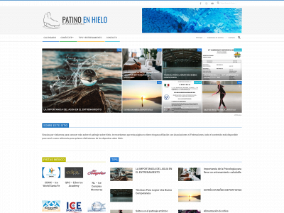 patinoenhielo.com snapshot