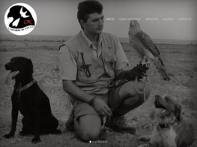 controldeavescacfalcon.com snapshot