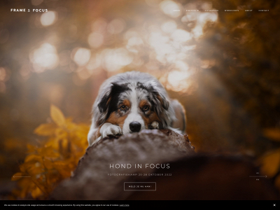 frameandfocus.nl snapshot
