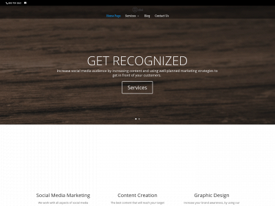 cartersmarketingseo.com snapshot