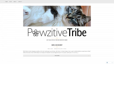 pawzitivetribe.com snapshot