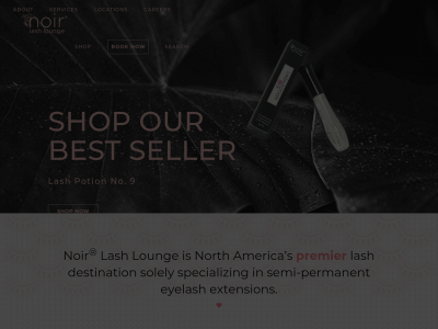 noirlashlounge.com snapshot