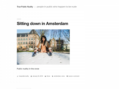 truepublicnudity.com snapshot