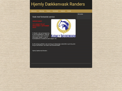 hjemlydaekkenvask.dk snapshot