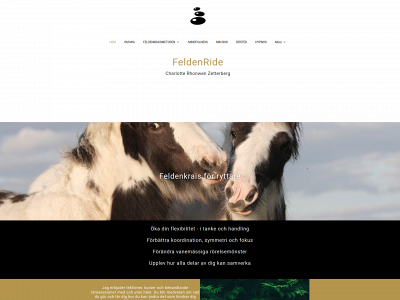 feldenride.com snapshot