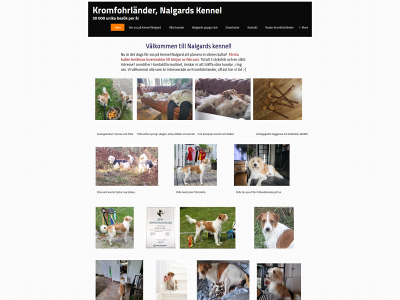 kromfohrlander.nu snapshot