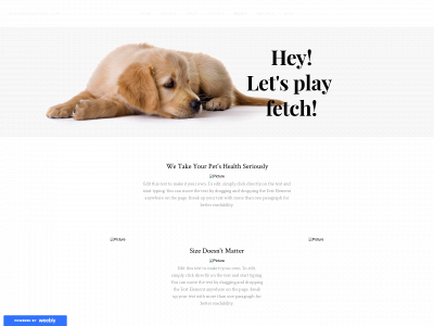 tku201119.weebly.com snapshot