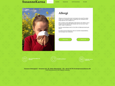 susannekarna.dk snapshot