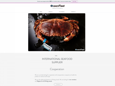 oceanfleetseafood.com snapshot