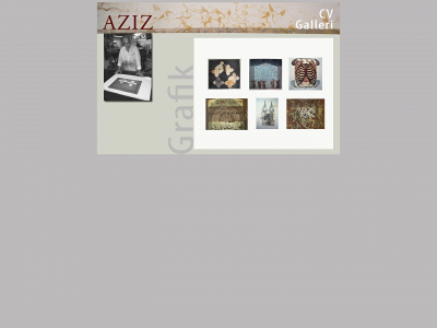 azizgrafik.dk snapshot