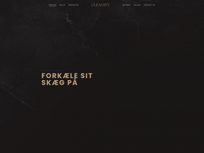 cleanity.dk snapshot