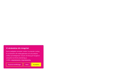 amice.se snapshot