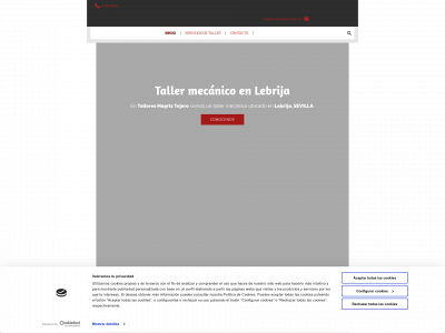 www.talleresmagriztejero.com snapshot