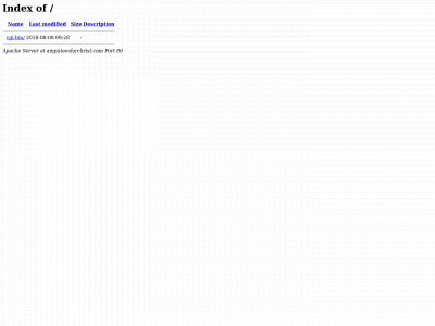amputeesforchrist.com snapshot