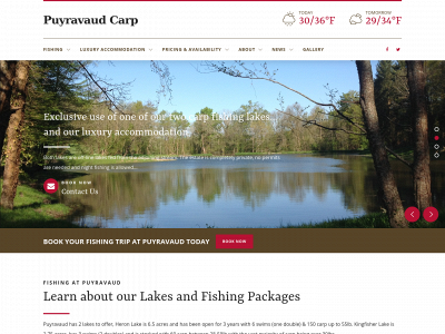 puyravaudcarp.com snapshot