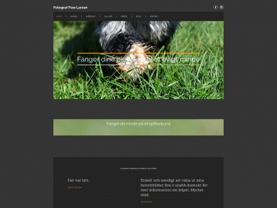 pawsphoto.nu snapshot