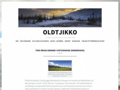 oldtjikko.se snapshot