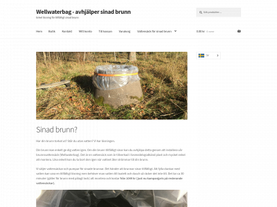 wellwaterbag.com snapshot