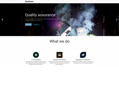 nesamsolutions.com snapshot