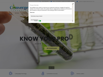 convergencelaboratories.com snapshot
