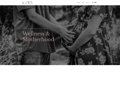 wellnessandmotherhood.com snapshot