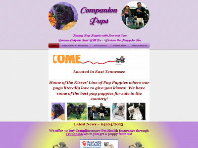 companionpups.com snapshot