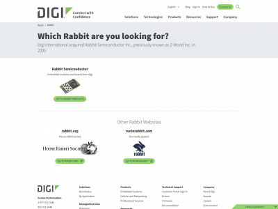 rabbit.com snapshot