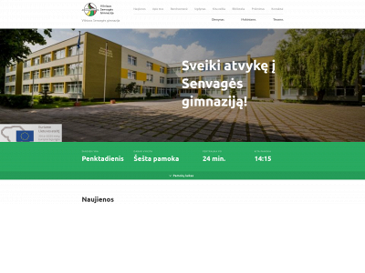 senvagesgimnazija.lt snapshot