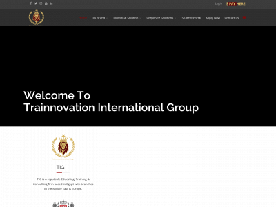 tig-uk.co.uk snapshot