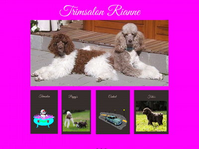 trimsalonrianne.com snapshot