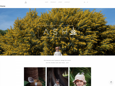 ashgeneration.com snapshot