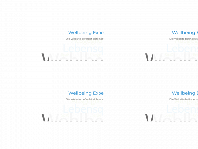 wellbeingexperten.de snapshot