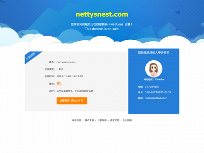 nettysnest.com snapshot