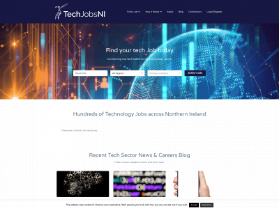techjobsni.co.uk snapshot