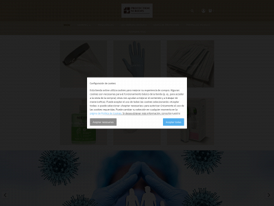 protection-screens.com snapshot