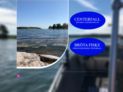 centerfall-kontroll-besiktning.se snapshot