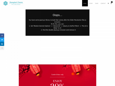 shanghaicharm.com snapshot