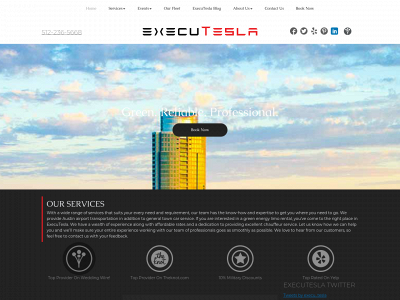 www.executesla.com snapshot