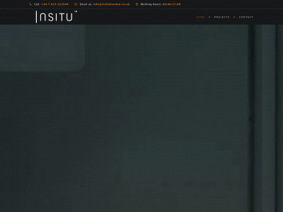 insitulondon.co.uk snapshot