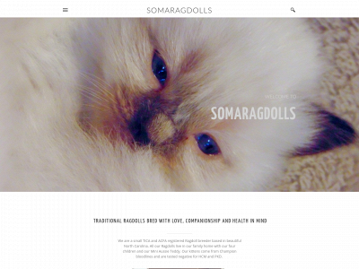 www.somaragdolls.com snapshot