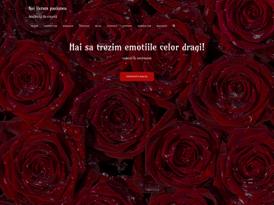 atelieruldeemotii.com snapshot